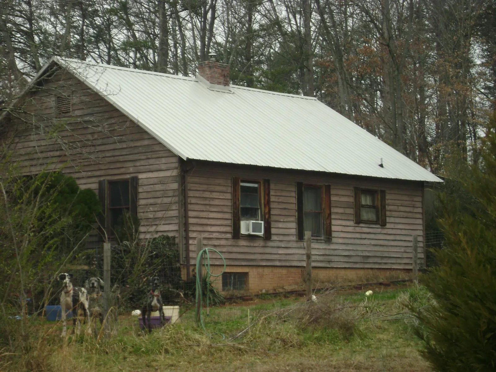 White metal roof on an old wood sided farmhouse in North Sioux City